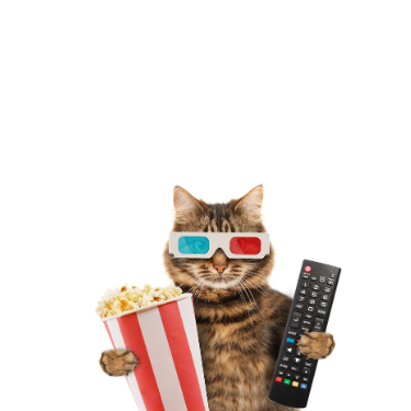 A cute and funny picture of a cat with sunglasses holding popcorn and a remote control. 