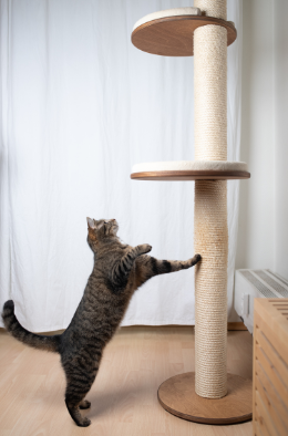 Cat scratching posts provide a healthy and appropriate outlet for cats to fulfill their natural scratching instincts, while simultaneously promoting physical exercise, mental stimulation, and territorial marking.