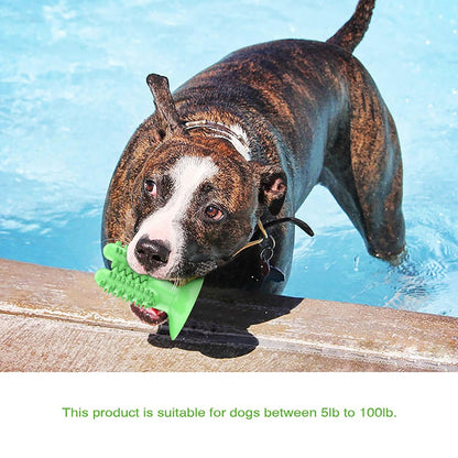 Dog Chew Toys for Large Medium Breed, Dog Toothbrush Clean Teeth Inter –  KOL PET