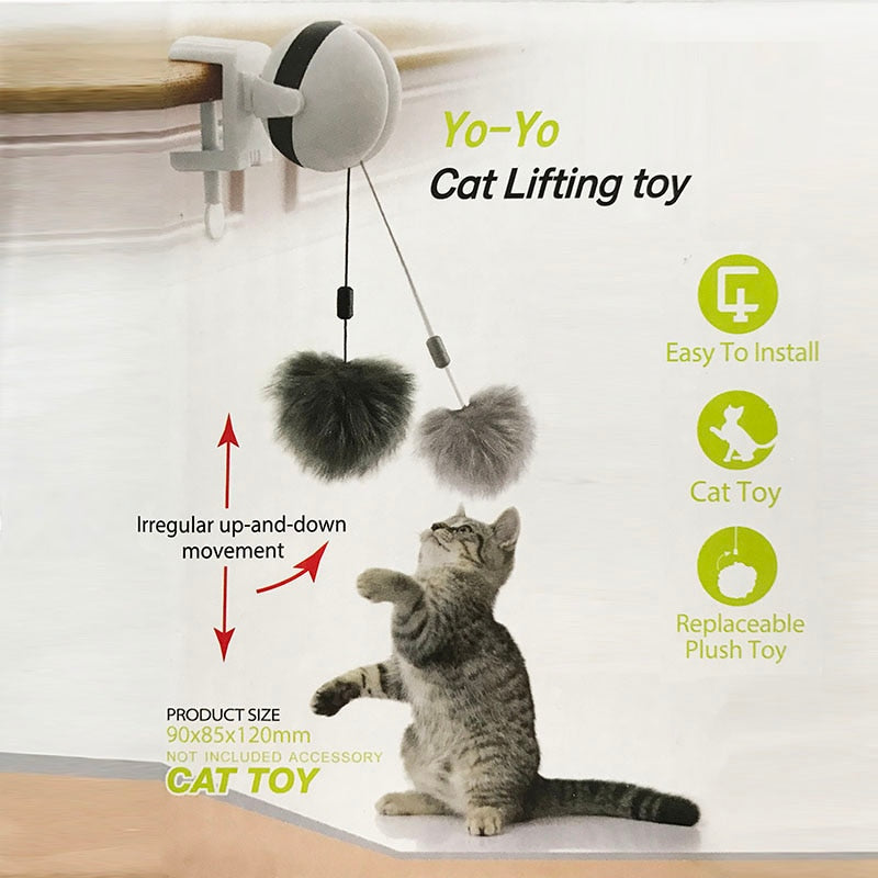 Electronic motion best sale cat toy