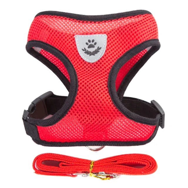 Adjustable Quick Release Red Cat Harness and Leash set. A red pet harness with adjustable straps and a quick-release buckle for comfortable walks.