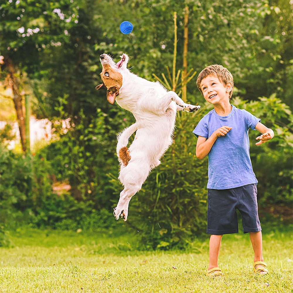 An energetic canine having a blast with a chew-resistant dog ball - a safe and non-toxic pet toy built for interactive play and training. Ideal for outdoor fun and promoting healthy exercise habits.