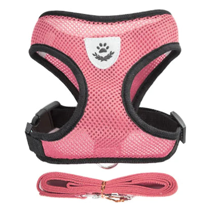 Outdoor Adventure Pet Safety Gear for cats and dogs - Nighttime Visibility Features. Pet safety gear suitable for outdoor adventures, designed for nighttime visibility.