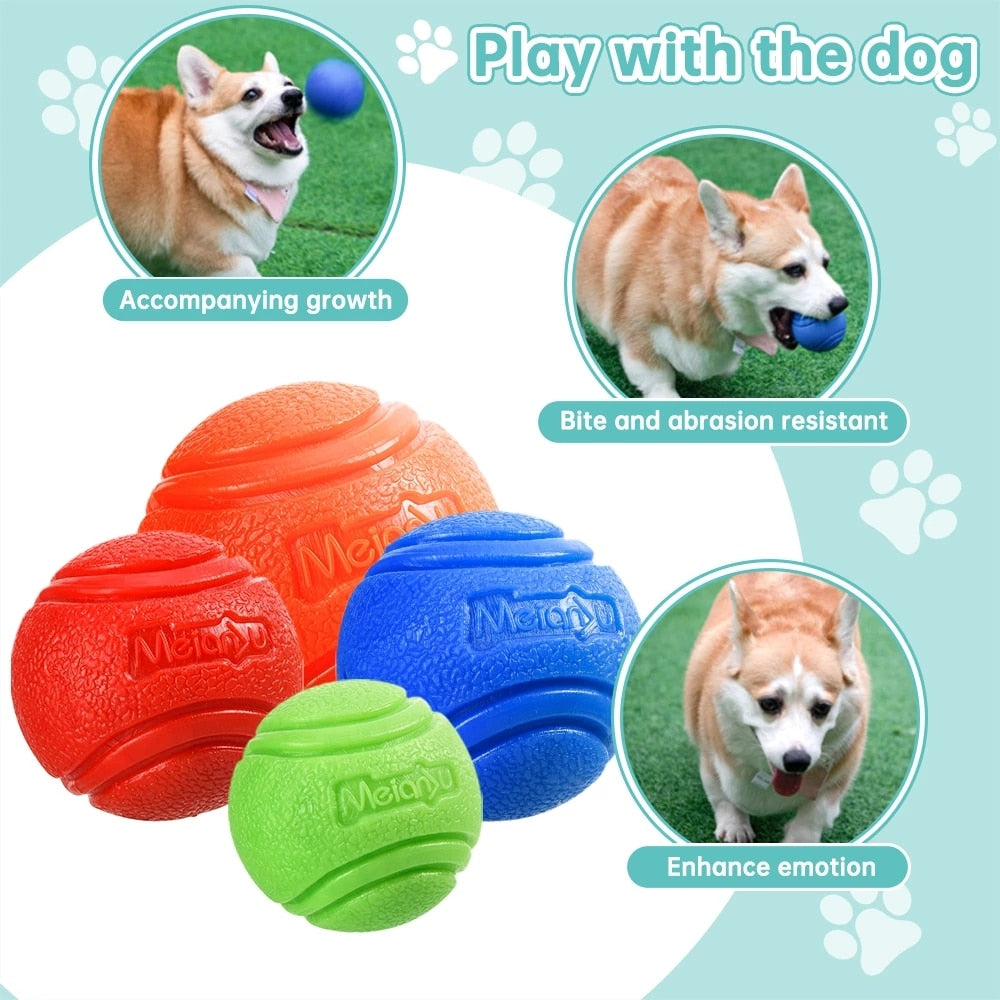 Adorable dog happily playing with a chew-resistant pet dog ball, made of bouncy rubber for outdoor fun. This waterproof dog toy ensures durable play, promoting interactive exercise and retrieval training for dogs.