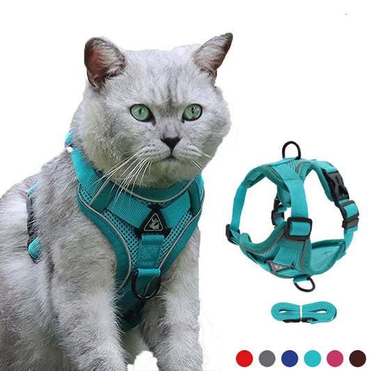 Stylish Cat Harness and Leash for Outdoor Walks – Adjustable Straps, Reflective Safety, Padded Comfort – Ideal for Dogs and Cats.