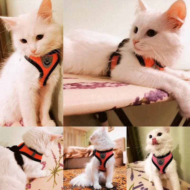 Adjustable Mesh Cat Harness Vest with Leash - Comfortable and Breathable Pet Harness for Cats and Small Dogs - With Reflective and No Choke Design