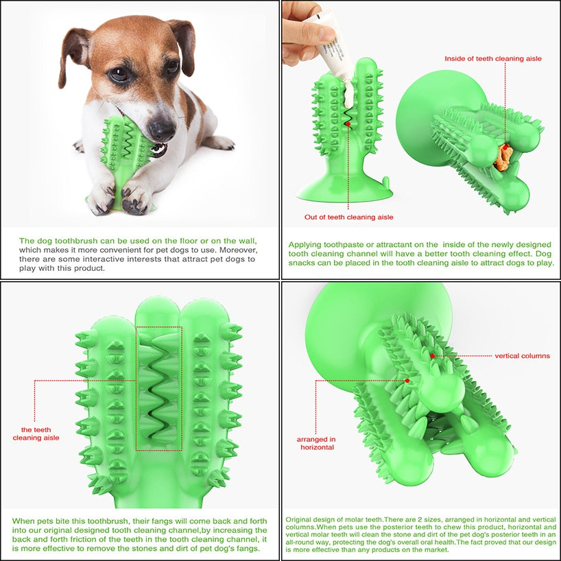 Dog toy clearance for brushing teeth