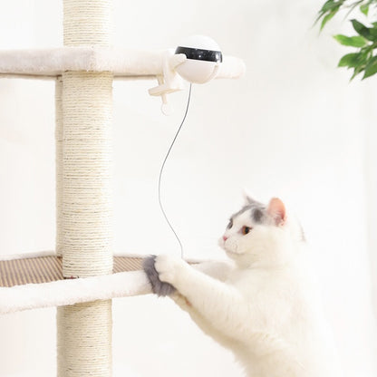 Showcasing the Rotating Motion feature of the Electric Cat Toy, as a curious cat playfully bats at the fluttering ball. This toy stimulates your cat's physical activity and mental alertness, providing enriching playtime experiences.