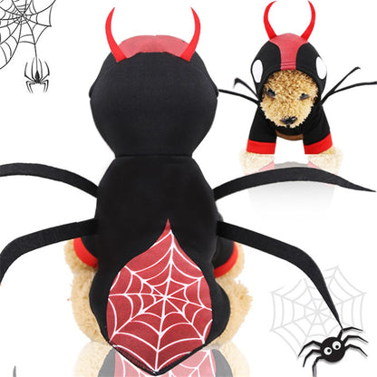 Spooky spider Halloween costume for dogs 