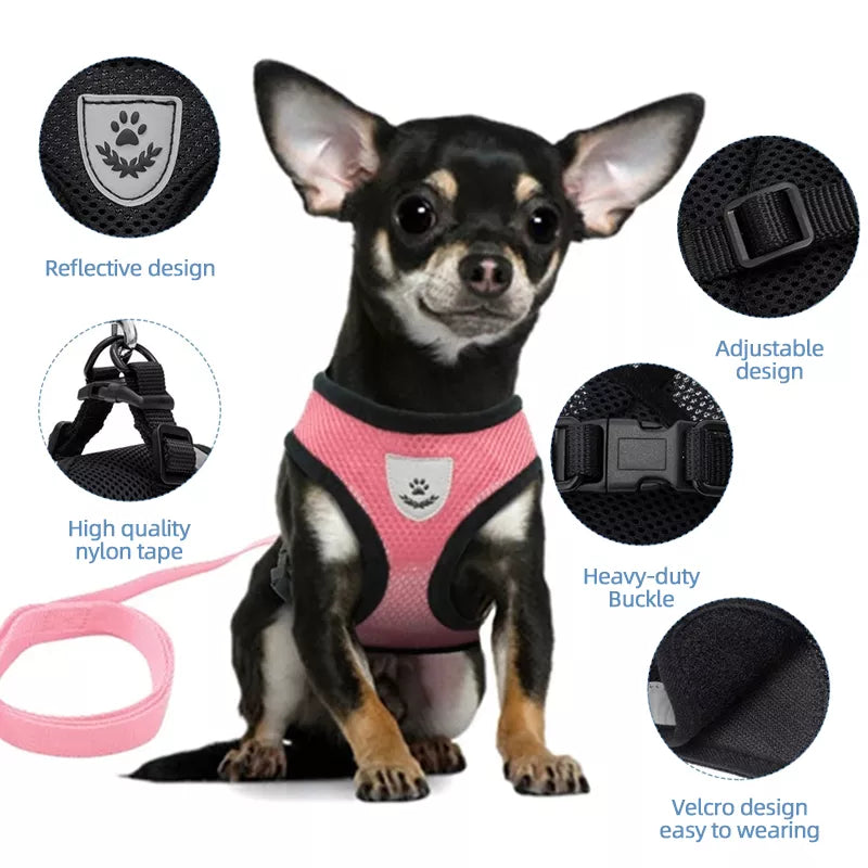 Adjustable Mesh Cat Harness Vest with Leash - Comfortable and Breathable Pet Harness for Cats and Small Dogs - With Reflective and No Choke Design