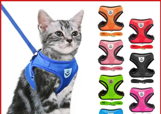 Adjustable Mesh Cat Harness Vest with Leash - Comfortable and Breathable Pet Harness for Cats and Small Dogs - With Reflective and No Choke Design