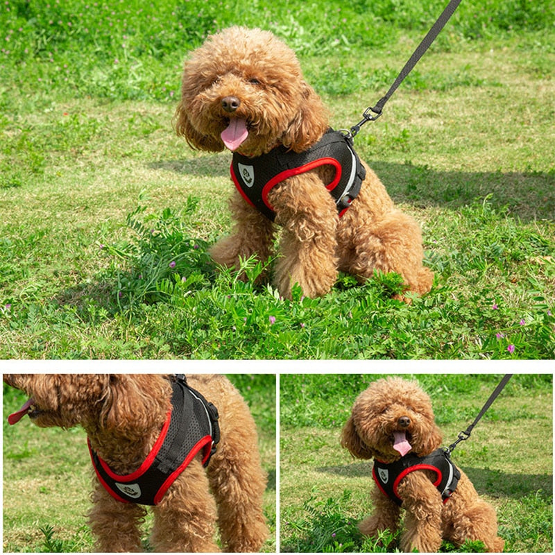 Breathable Mesh Puppy Harness and Leash Set - Reflective Summer Dog Harness Vest - Ideal for Chihuahuas, Yorkies, and Cats