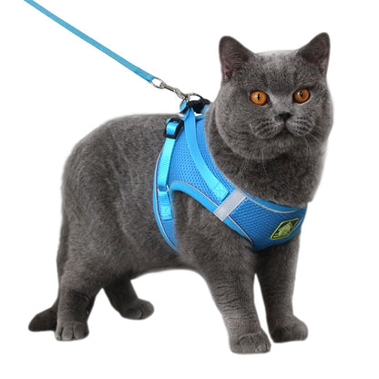 Adjustable, Reflective Mesh Harness Vest for Cats and Small to Medium Dogs, Breathable Pet Harness and Leash Set, Pet Supplies