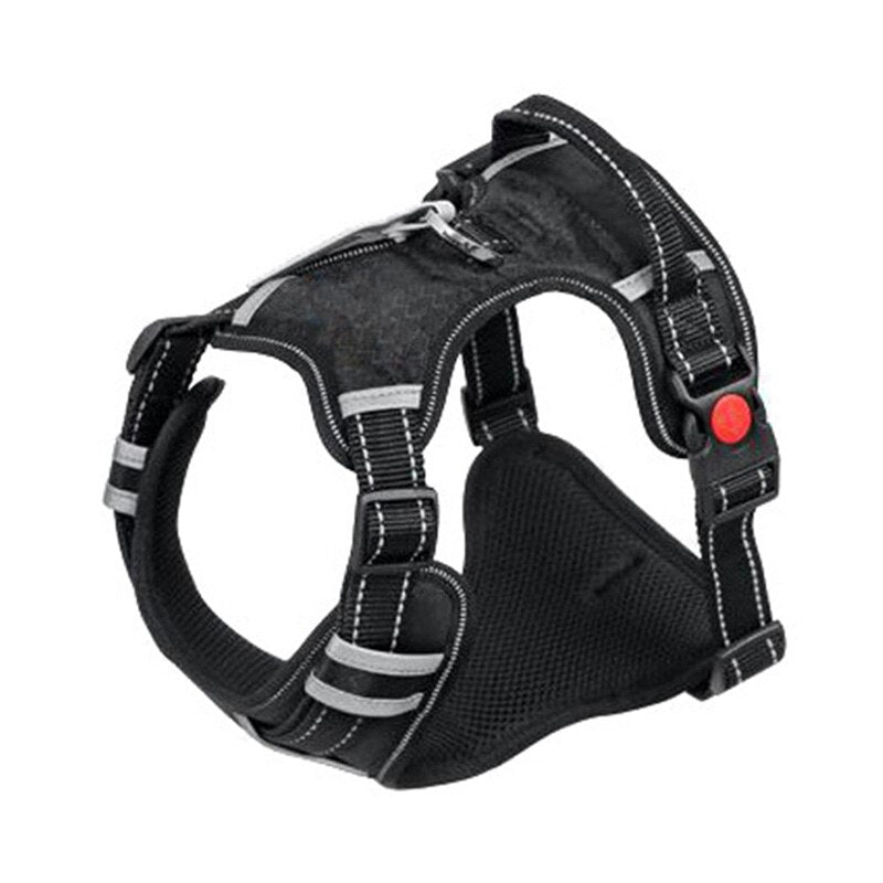 Big dog hotsell harness vest