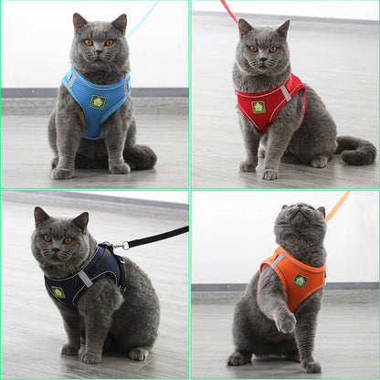 Adjustable, Reflective Mesh Harness Vest for Cats and Small to Medium Dogs, Breathable Pet Harness and Leash Set, Pet Supplies