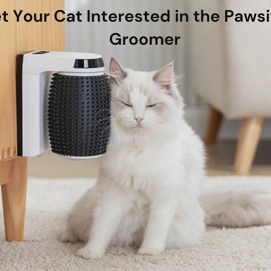 How to get your cat interested in using self groomers. A step by step video guide to help your cat engage with the Automatic Self-Groomer and Smart Cat Brush.