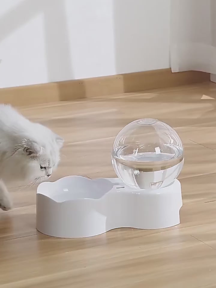 Automatic cat water on sale feeder