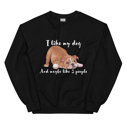 I Like My Dog and Maybe Like 3 People T-Shirt