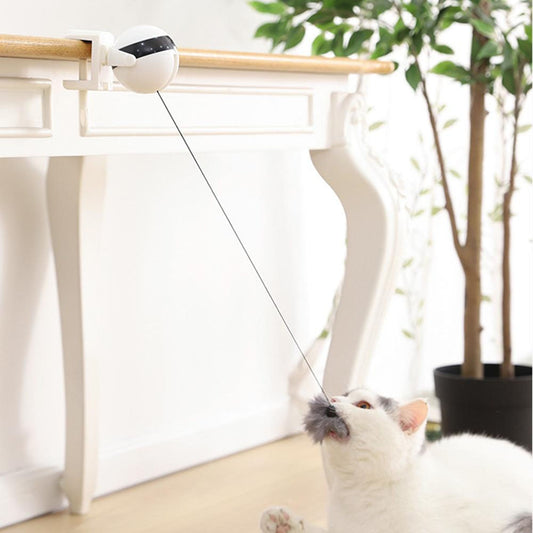A playful cat engaging with the Electric Cat Toy, which features a Lifting Ball, Electric Flutter, and Rotating Motion. This interactive pet toy guarantees endless amusement for indoor cats, keeping them entertained and active.