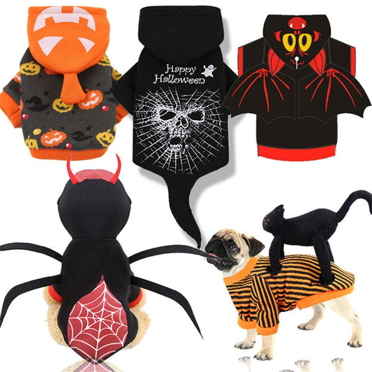 Cute bat pet hoody, pumpkin hoody, and spider Halloween costumes for pets